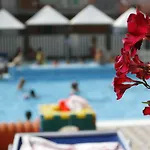 Sport & Residenza Чезенатико