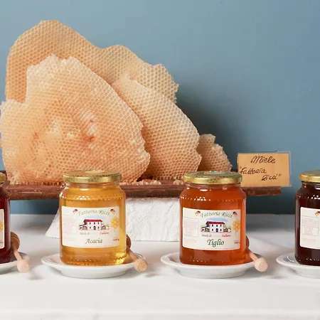 Lägenhetshotell Sport & Residenza 4*