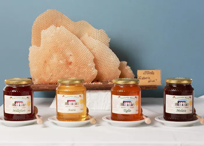 Aparthotel Sport & Residenza 4*